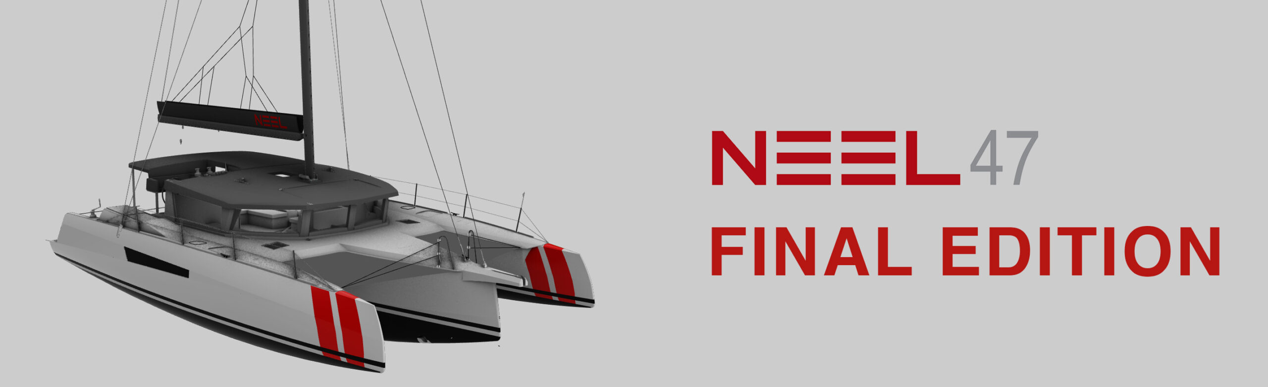 NEEL 47 FINAL EDITION: the quintessence of NEEL 47 2