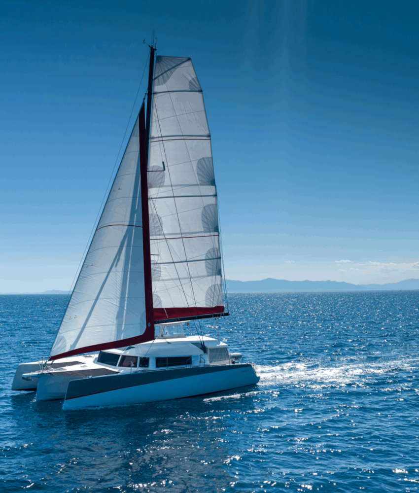 Le NEEL 43 PERFORMANCE en édition limitée 1